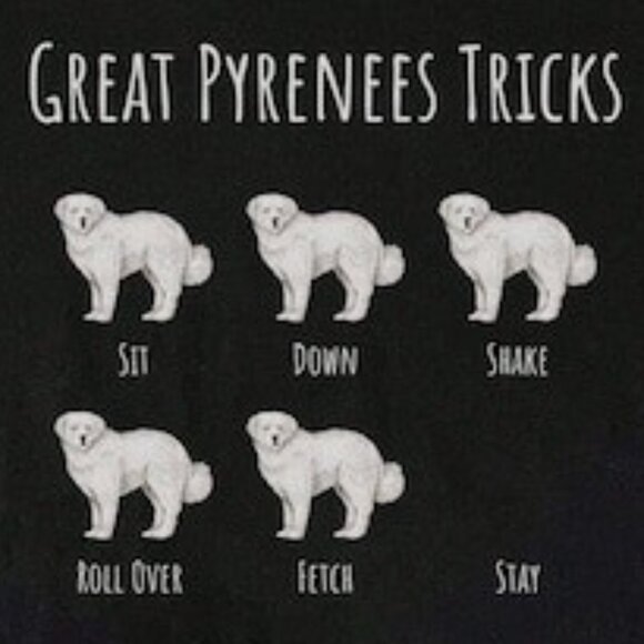 Livestock Guardian Dog Owner Gift Shirt, Dog Lovers Shirt - Picture 2 of 4